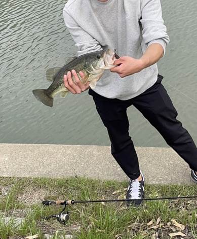 �l, ��, ���O, ���� ���܂܂�Ă���摜

�����I�ɐ������ꂽ����